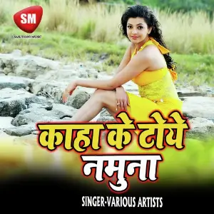 Kaha Ke Toye Namuna-Angika Lok Geet image