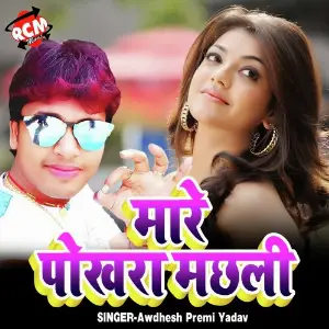 Mare Pokhara Me Machhari image