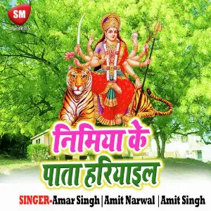 Nimiya Ke Pata Hariyail image