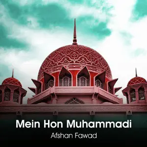 Mein Hon Muhammadi - Single image