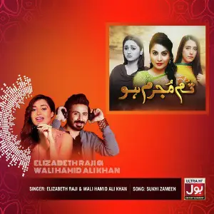 Sukhi Zameen - Single image
