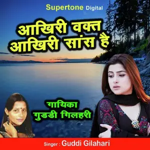 Hum To Chale Pardes Guddi Gilahari
