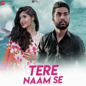 Tere Naam Se image