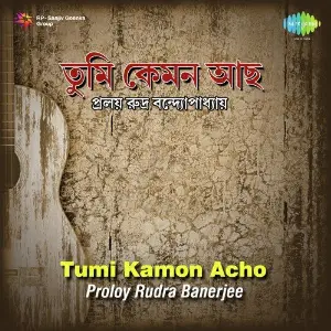 Pralay Rudra Banerjee Tumi Kamon Acho image