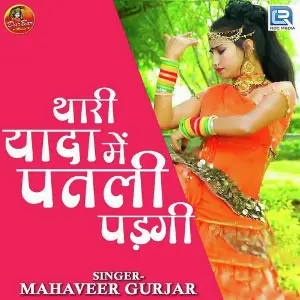 Thari Yada Me Patli Padgi image