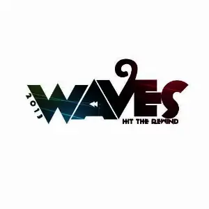 Waves 2013 Various Artists