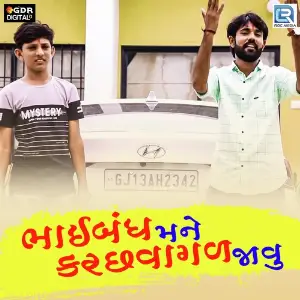 Bhaibandh Mane Kutchvagad Javu image