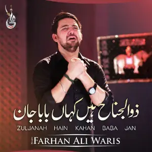 Zuljanah Hain Kahan Baba Jan - Single image