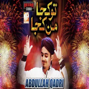 Tu Kuja Mann Kuja - Single image