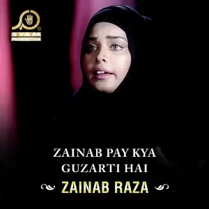 Zainab Pay Kya Guzarti Hai - Single image