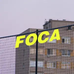 Foca Hataah