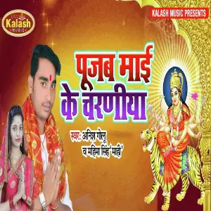 Pooja Mai Ke Charaniya image