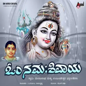 Om Namah Shivaya image