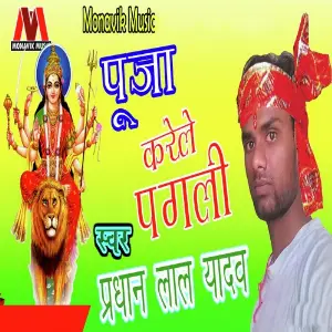 Pooja Karele Pagli image