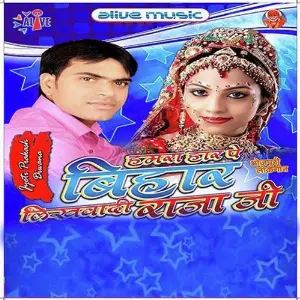 Hamra Haar Pe Bihar Likhwadi Raja Ji image