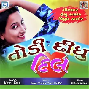 Todi Didhu Dil image