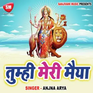 Tumhi Meri Maiya-Hindi Devi Geet image