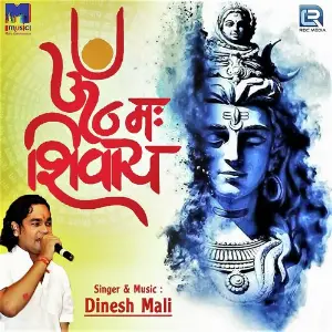 Om Namah Shivay image