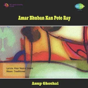 Amar Bhuban Kan Pete Ray image
