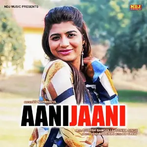 Aani Jaani image