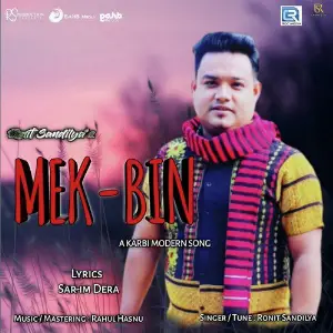 Mek Bin image