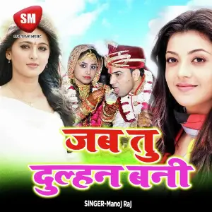 Jab Tu Dulhan Bani-Hindi Lok Geet image