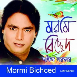 Mormi Bichced image