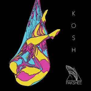 Kosh - Single image
