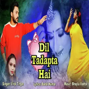 Dil Tadapta Hai image