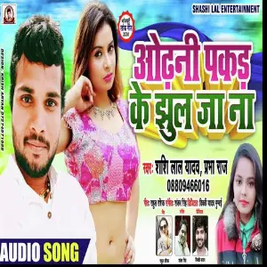 Odhani Pakad Ke Jhul Ja Na image