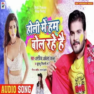 Holi Me Ham Bol Rahe Hai image