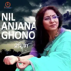 Nil Anjanaghono - Single image