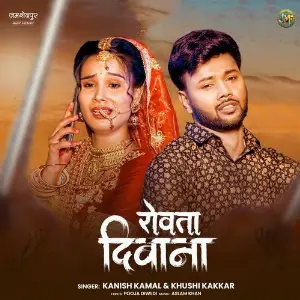 Rowata Deewana image