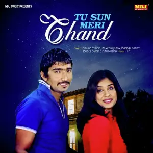 Tu Sun Meri Chand image