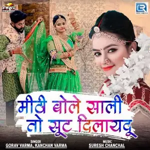 Mithi Bole Sali To Suit Dilaydu image