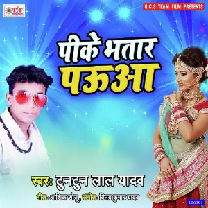 Pike Bhatar Pauaa image