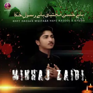 Haye Hassan Mujtaba Haye Rasool E Khuda - Single image