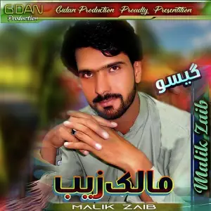 Gesoo, Vol. 17 Malik Zaib
