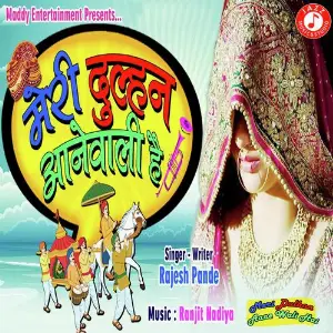 Meri Dulhan Aane Wali Hai image