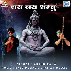 Jai Jai Shambhu image