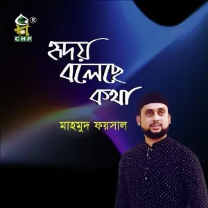 Ridoy Boleche Kotha image