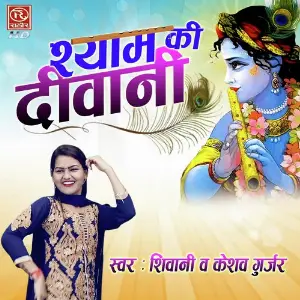 Shyam Ki Diwani image