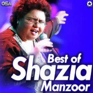 Best Of Shazia Manzoor image