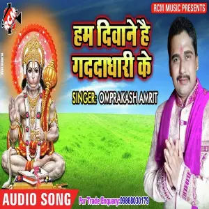 Hum Dewane H Gaddadhari Ke image