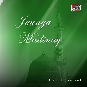 Jaunga Madinay image