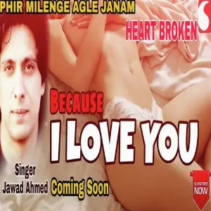 Because I Love You image