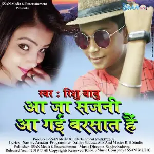 Aa Ja Sajani Aa Gaee Rishu Babu