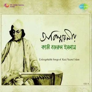 Abismaraniyo Kazi Nazrul Islam Vol. 3 image