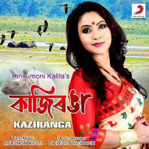 Kaziranga - Single image