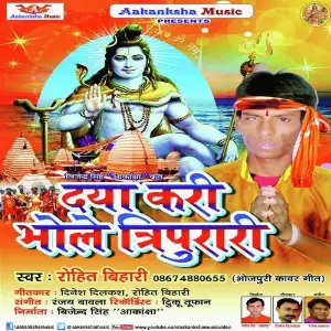 Daya Kari Bhole Tripurari image